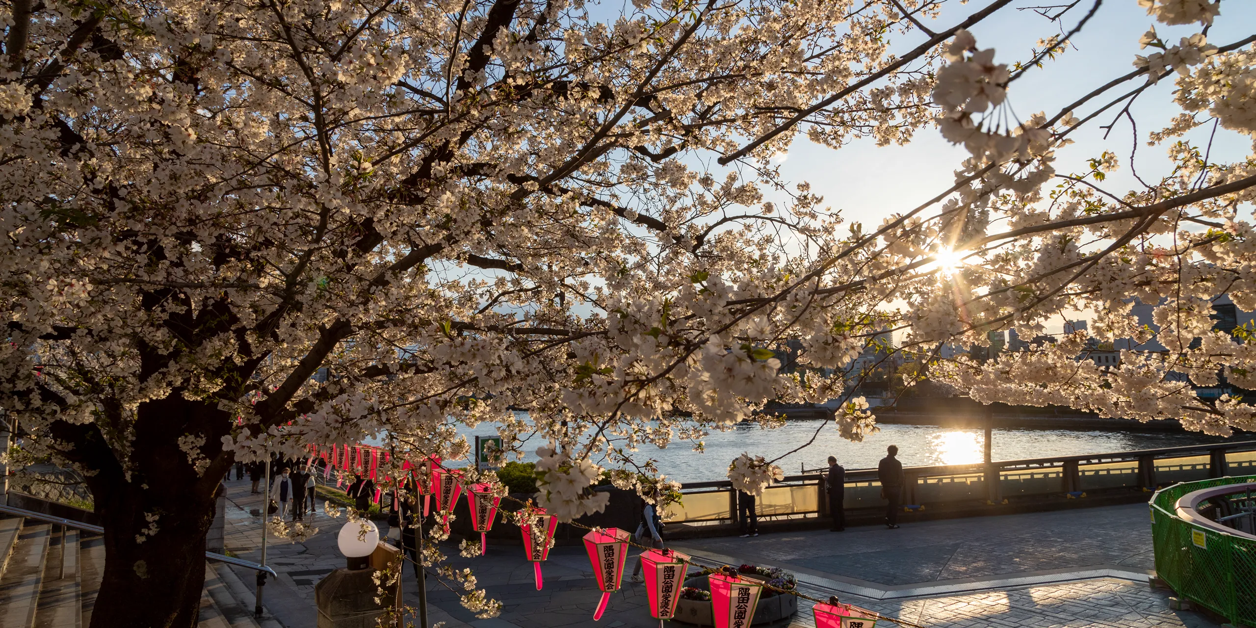 隅田川テラス（約550m/徒歩7分）
