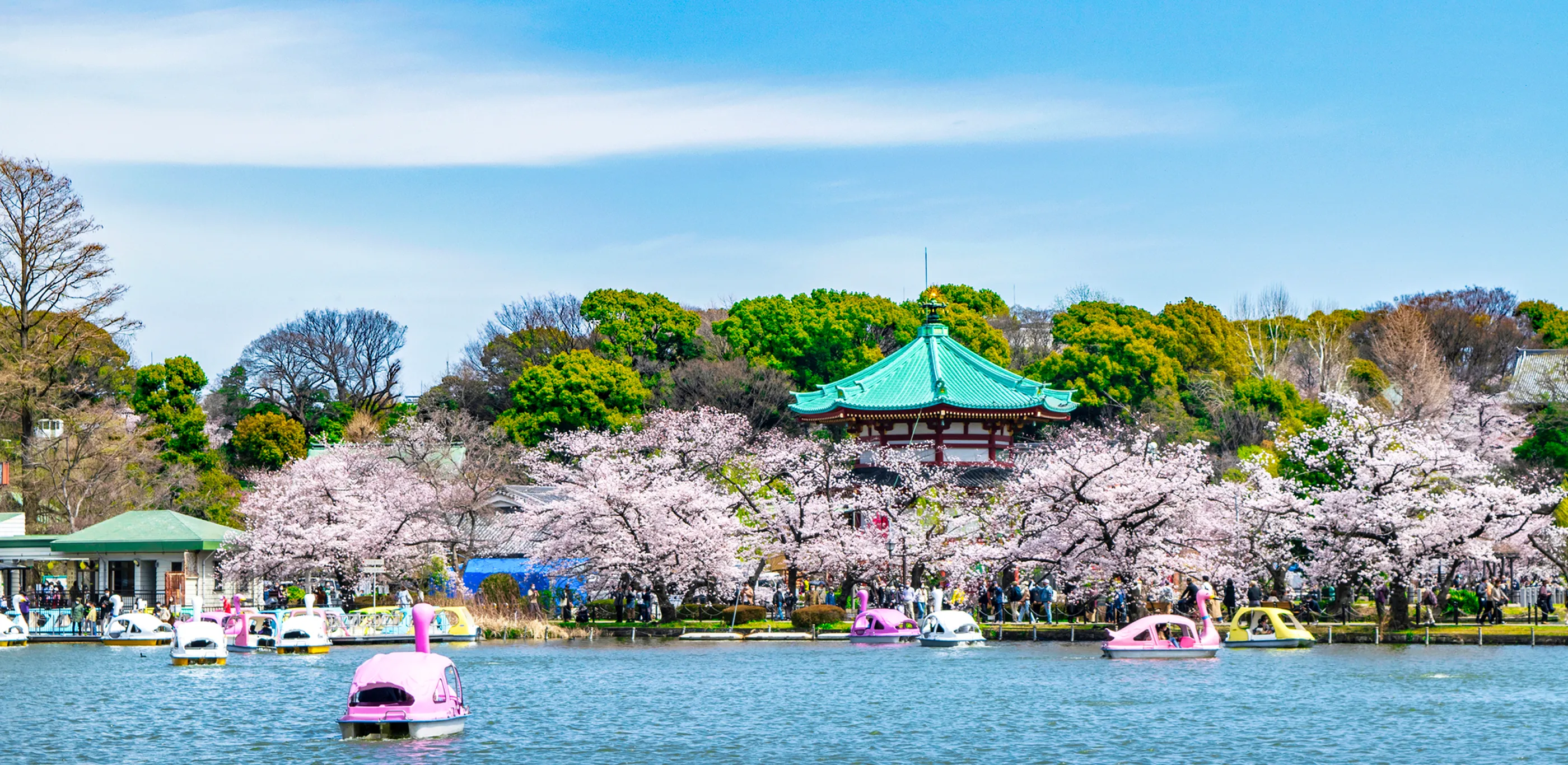 上野恩賜公園（約3,120m/自転車16分）