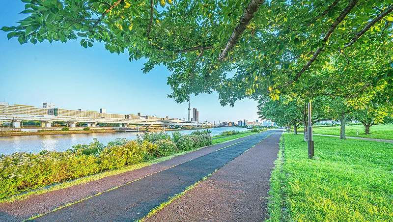 都立汐入公園（約1,330m/徒歩17分、自転車7分）