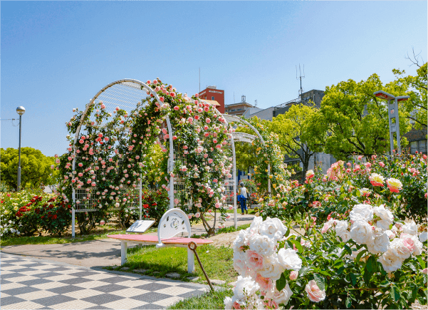 ばら公園