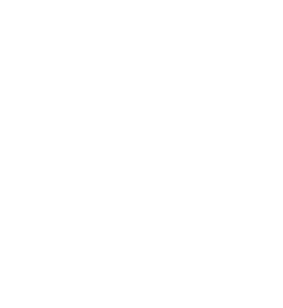 A2-TYPE