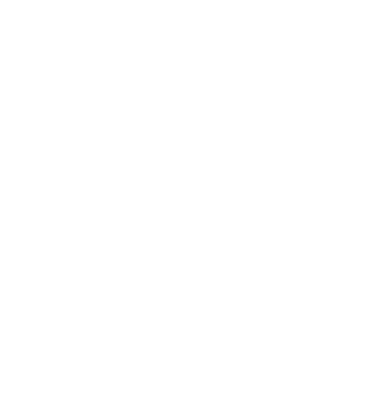 D1-TYPE