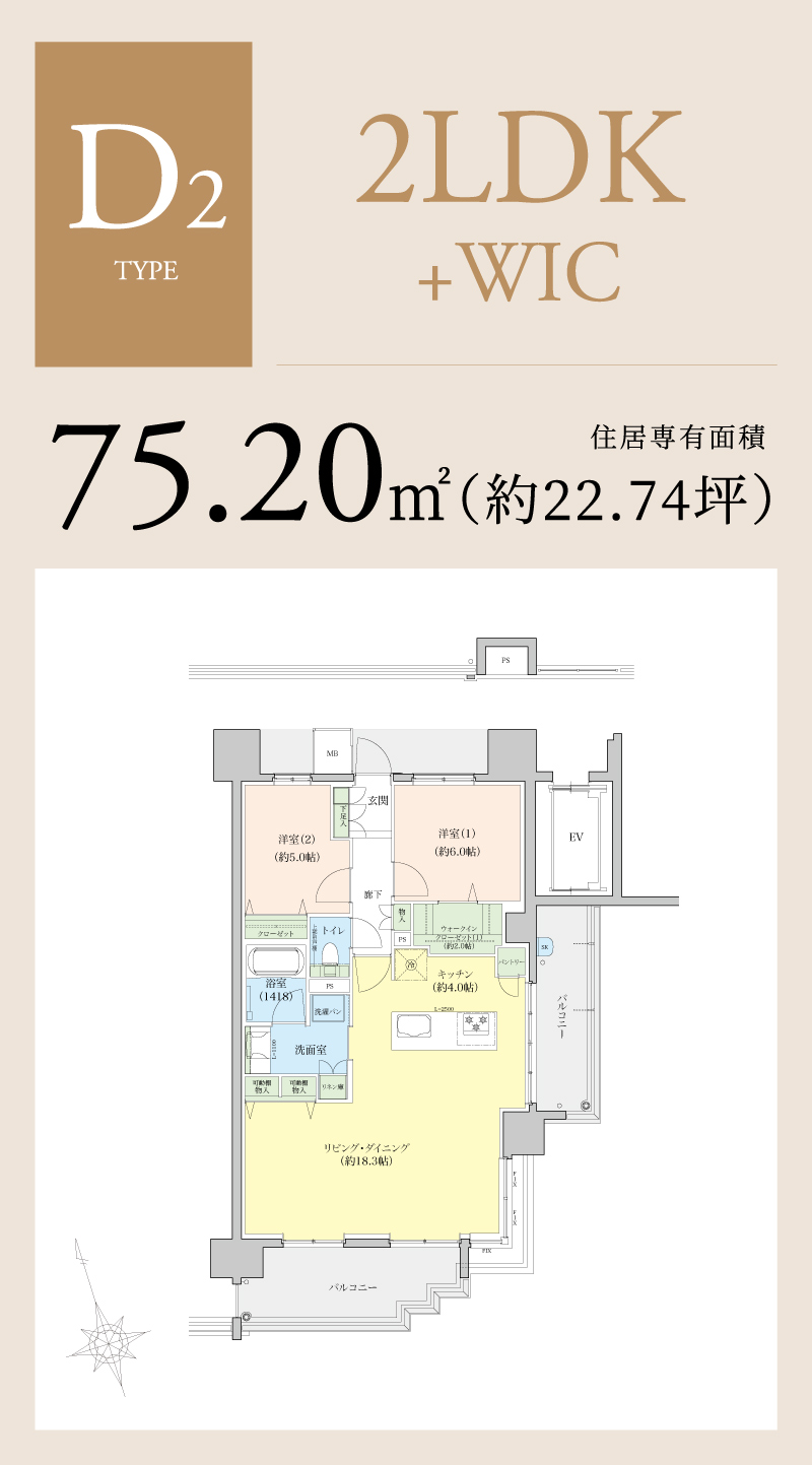 D2-TYPE