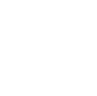A1 TYPE 3LDK