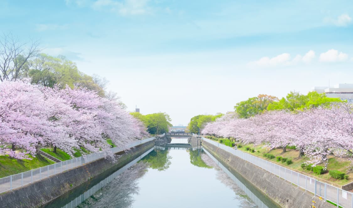 外堀川（徒歩3分）