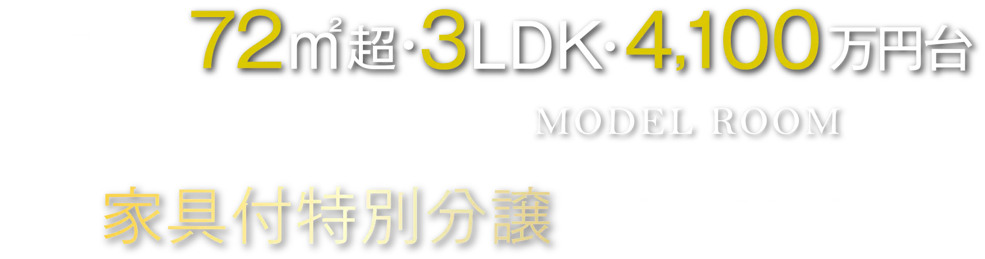 家具付き特別分譲