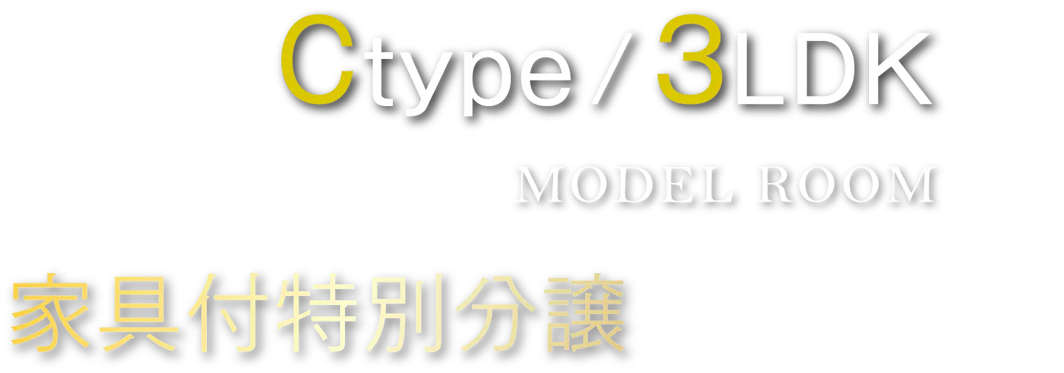 家具付き特別分譲
