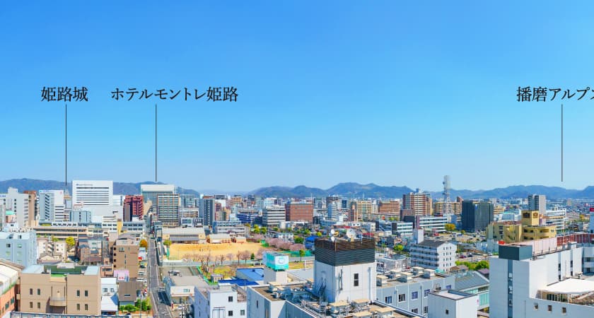 view