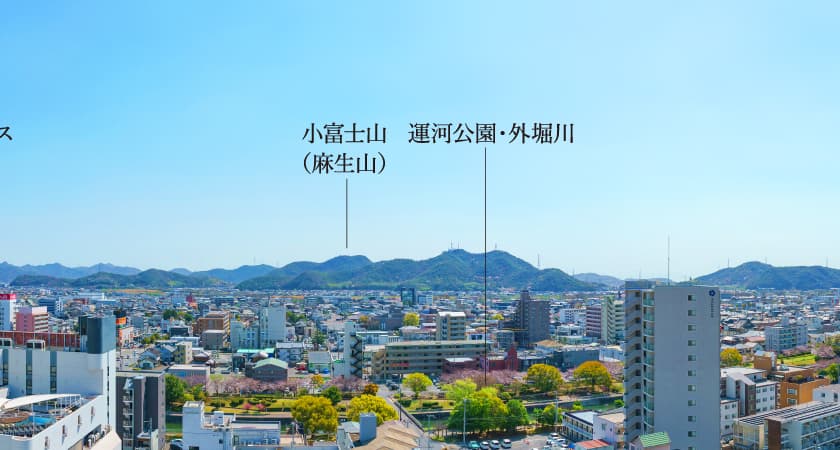 view