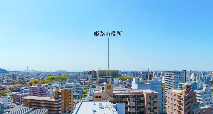 view