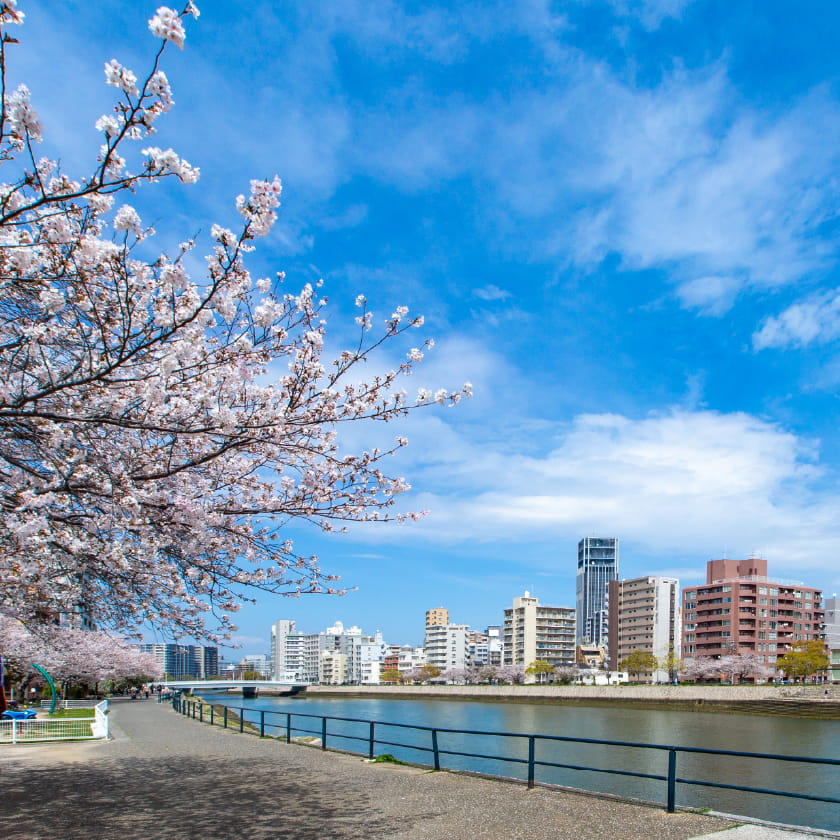 元安川河畔（徒歩1分/約60m）
