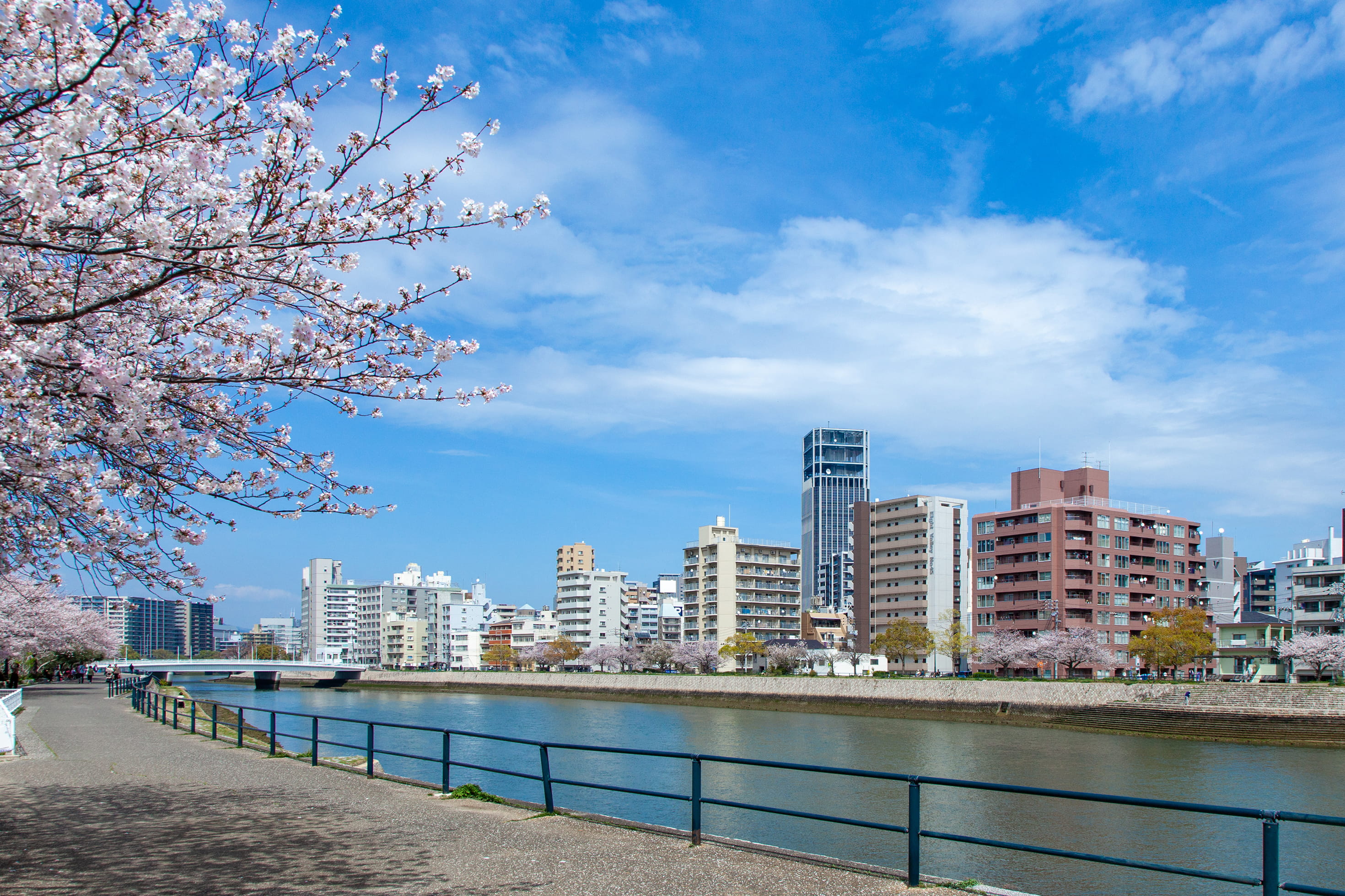 元安川河畔