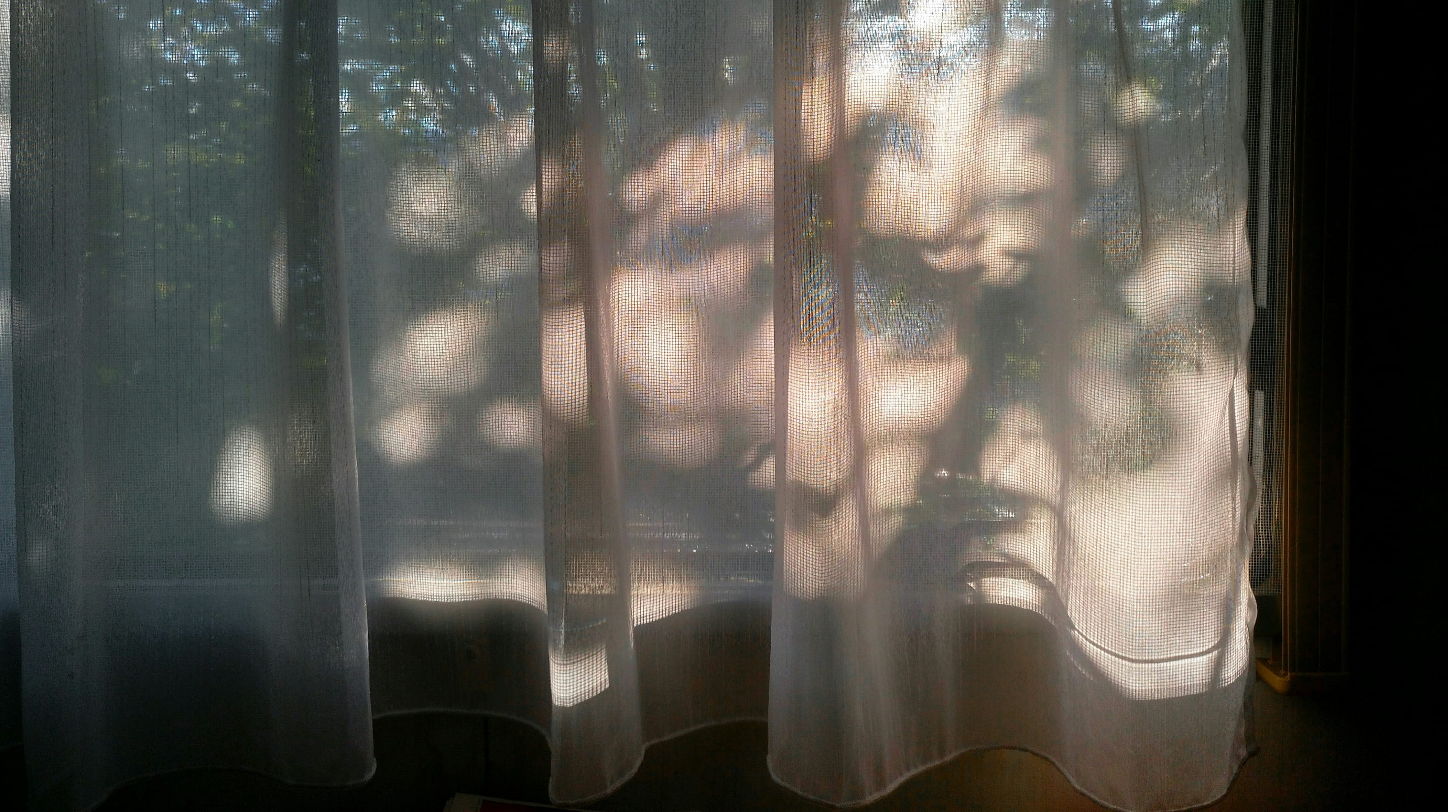 image photo