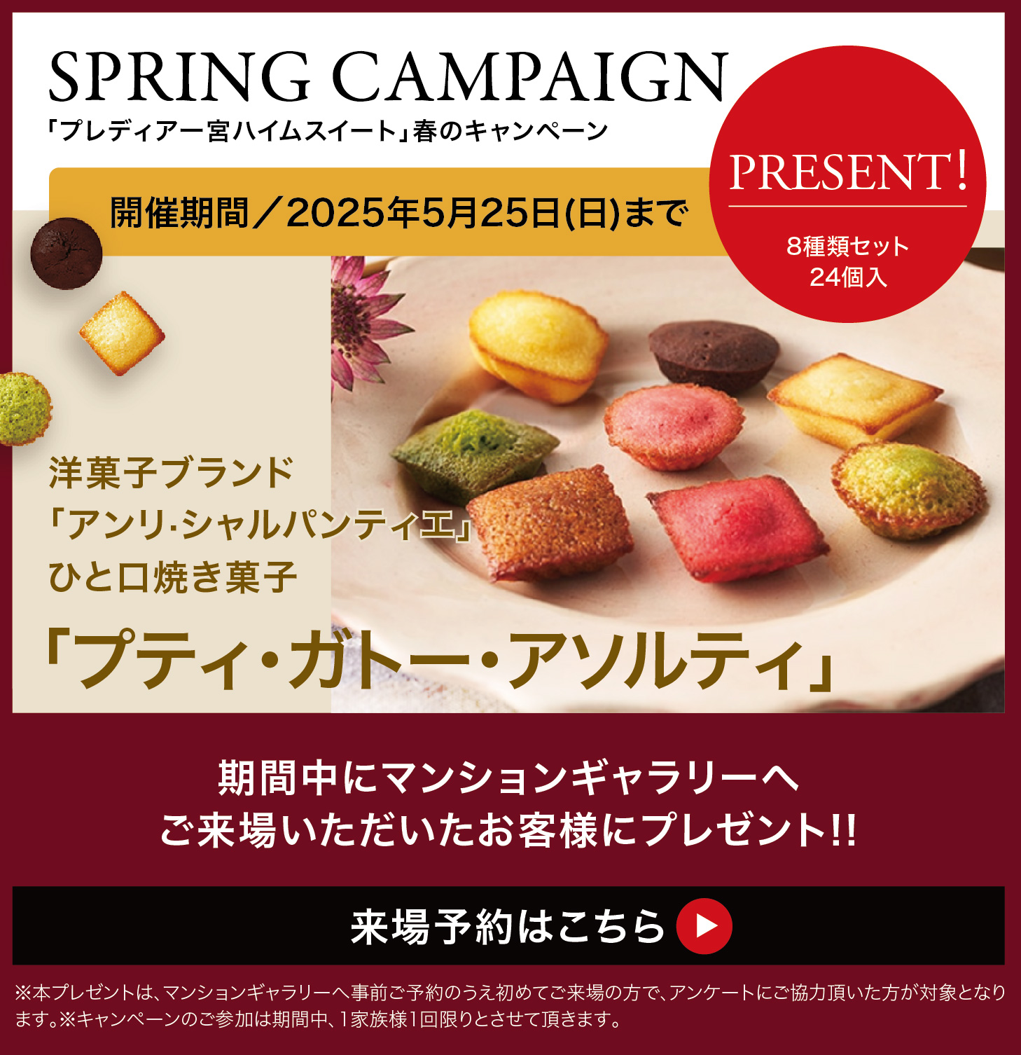 スプリングキャンペーン
