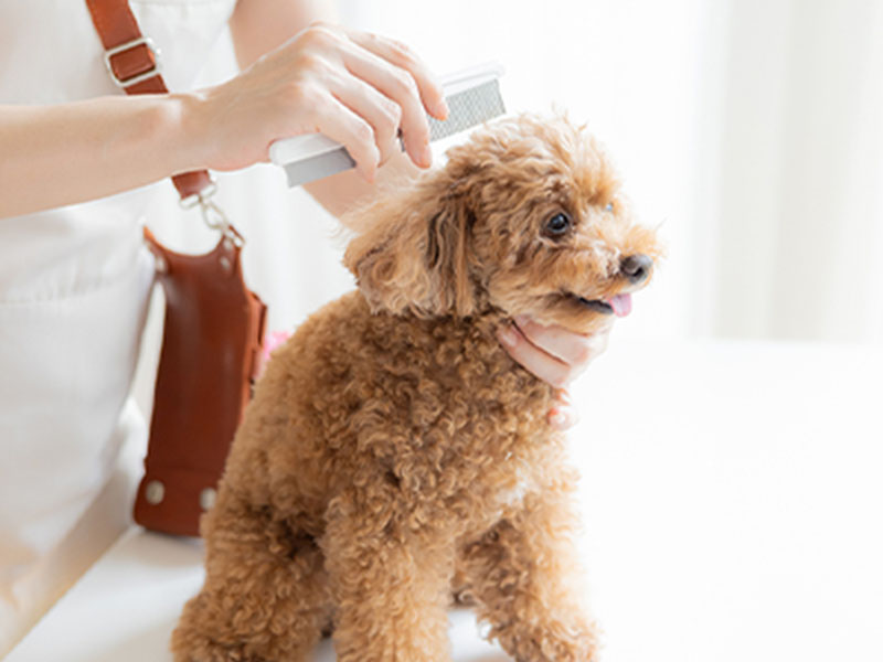 トリミング台 イメージ