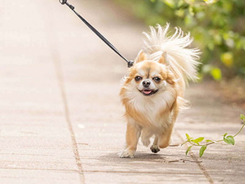 リードフック イメージ