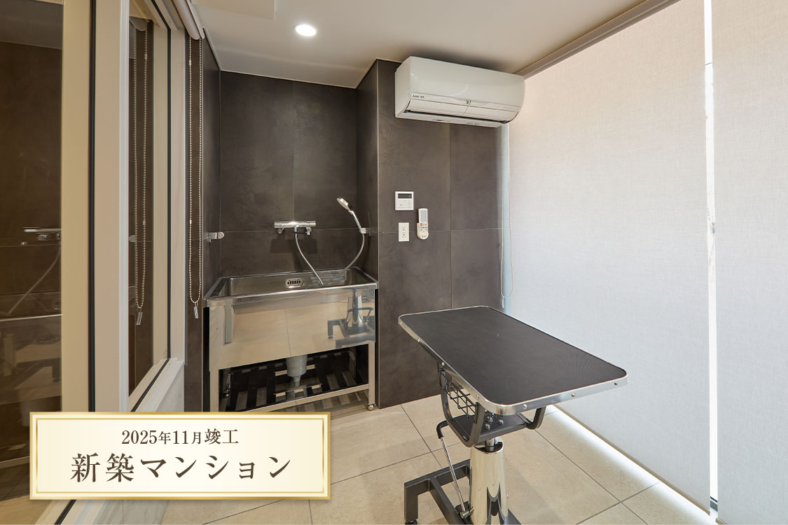 トリミングルーム