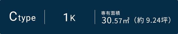 Cタイプ