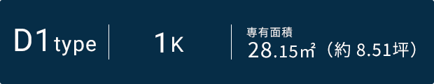 D1タイプ