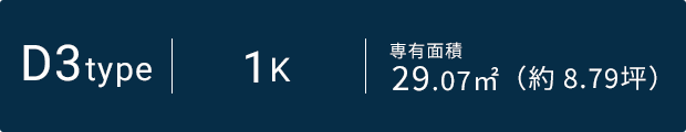 D3タイプ