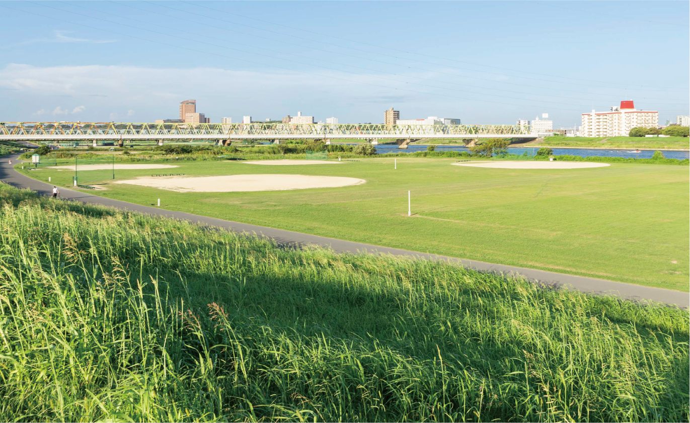 江戸川河川敷