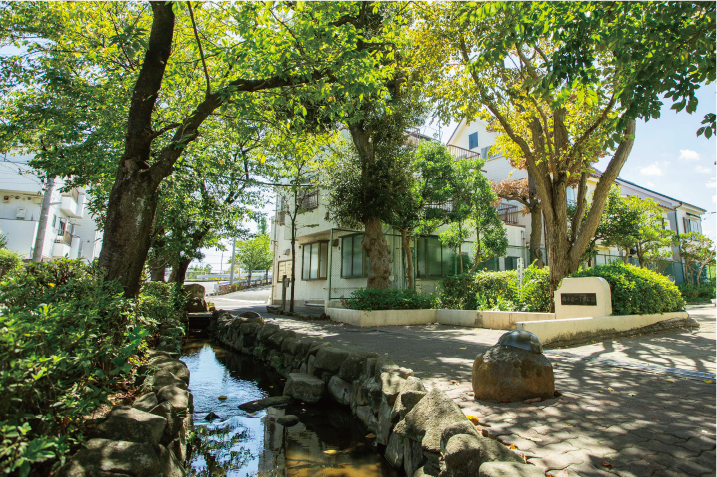西小岩親水緑道