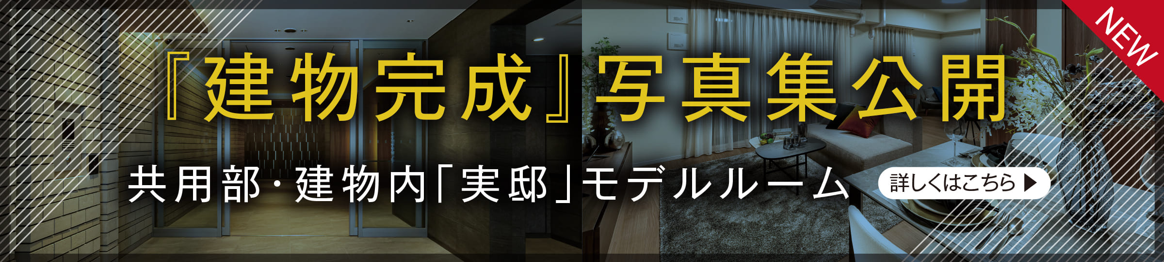 『建物完成』写真集公開