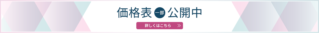 正式価格表一部公開中！