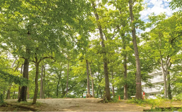さくら公園