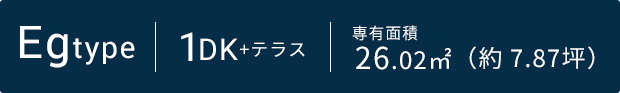 Egtype