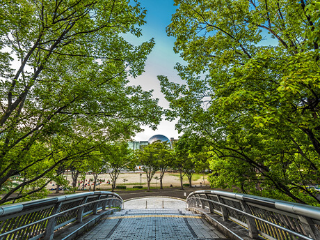 白川公園