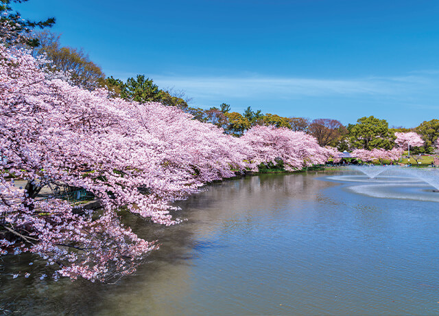 名城公園