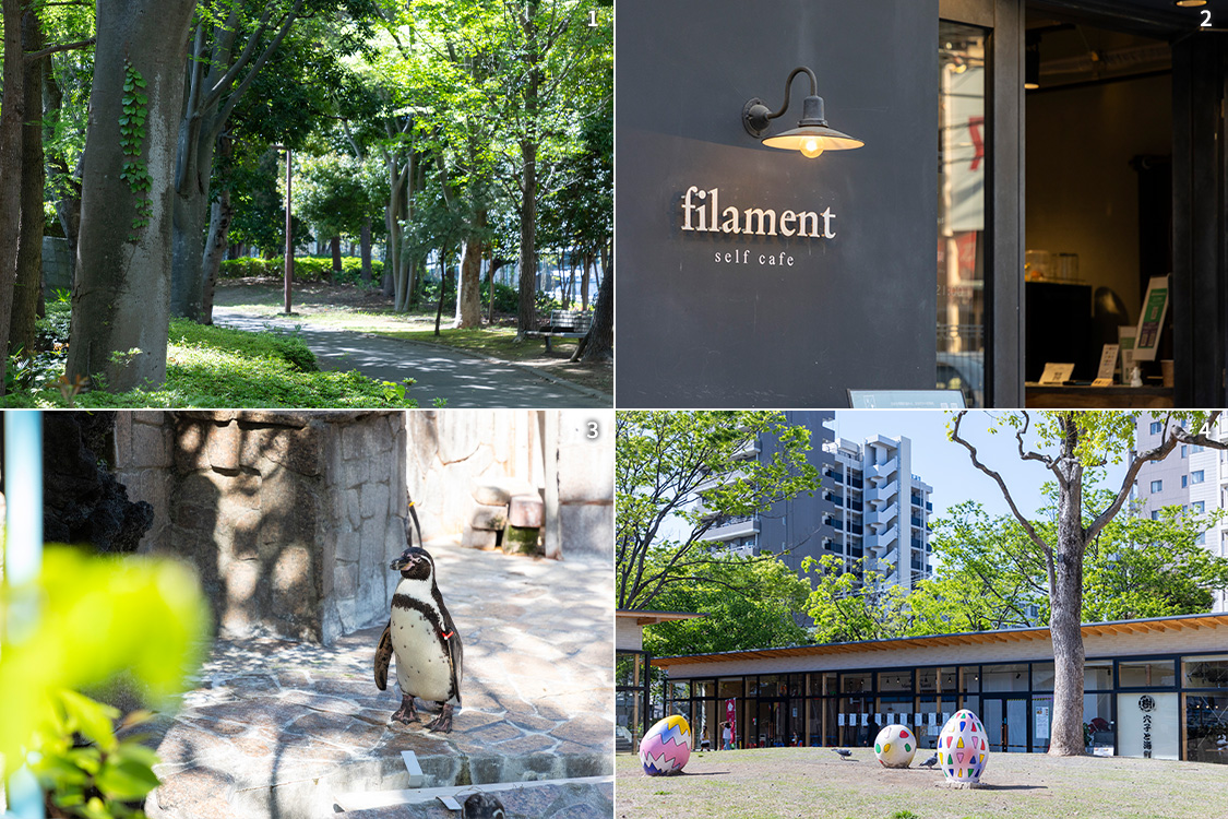 1.清新町北緑地・2.総合レクリエーション公園・3.カフェfilament・4.江戸川区自然動物園