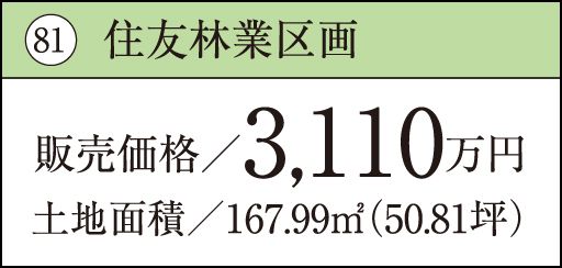 81 住友林業区画販売価格／3,110万円土地面積／167.99㎡（50.81坪）
