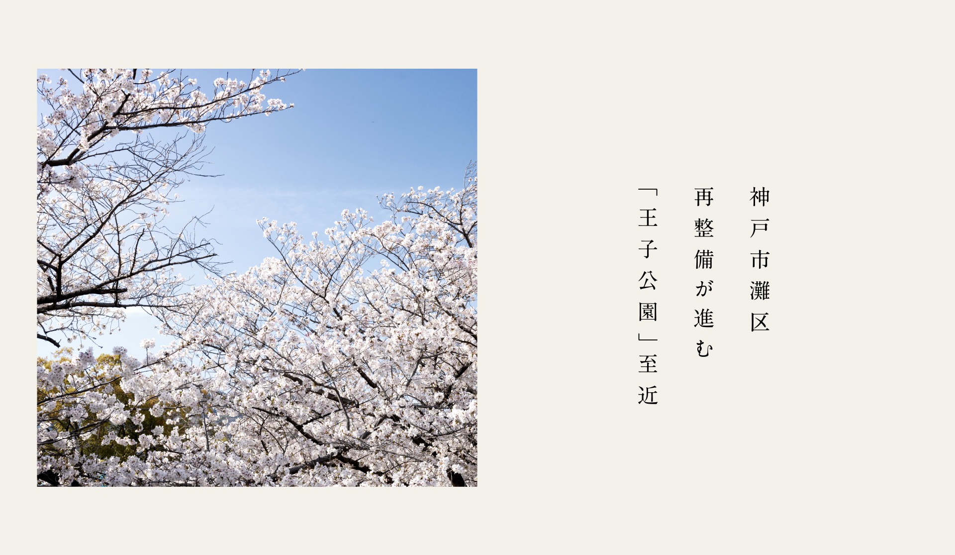 神戸市灘区再整備が進む「王子公園」至近