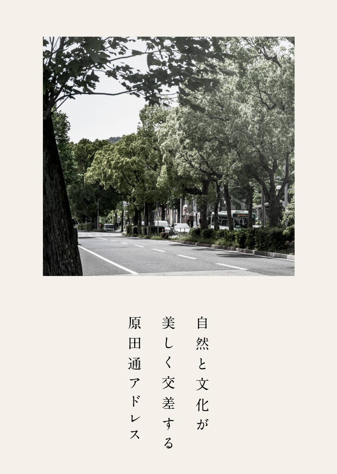 邸宅の系譜。