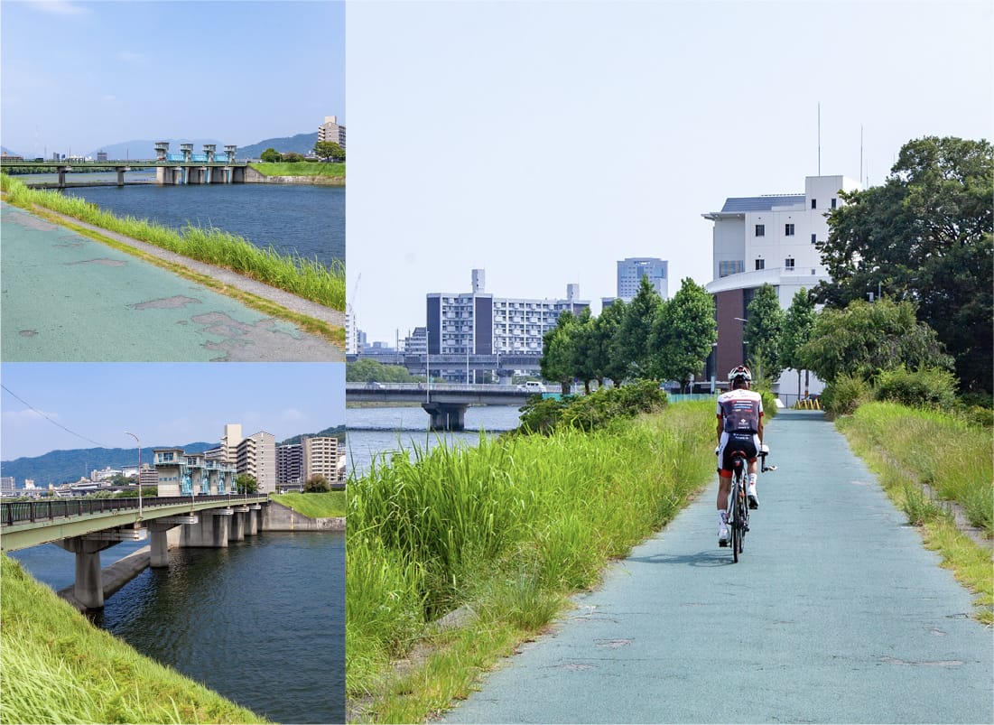 大芝ランニングコースの画像
