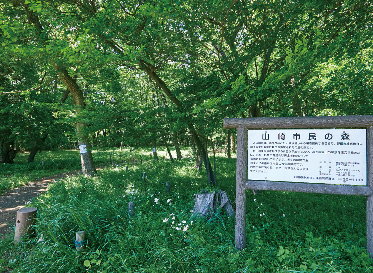 山崎市民の森 徒歩15分（約1,180m））