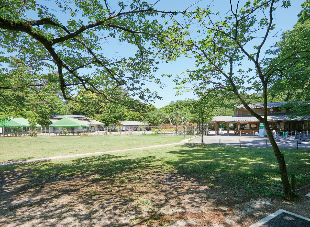 清水公園 車8分（約5.2km）