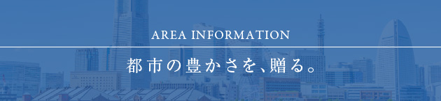 AREA INFORMATION