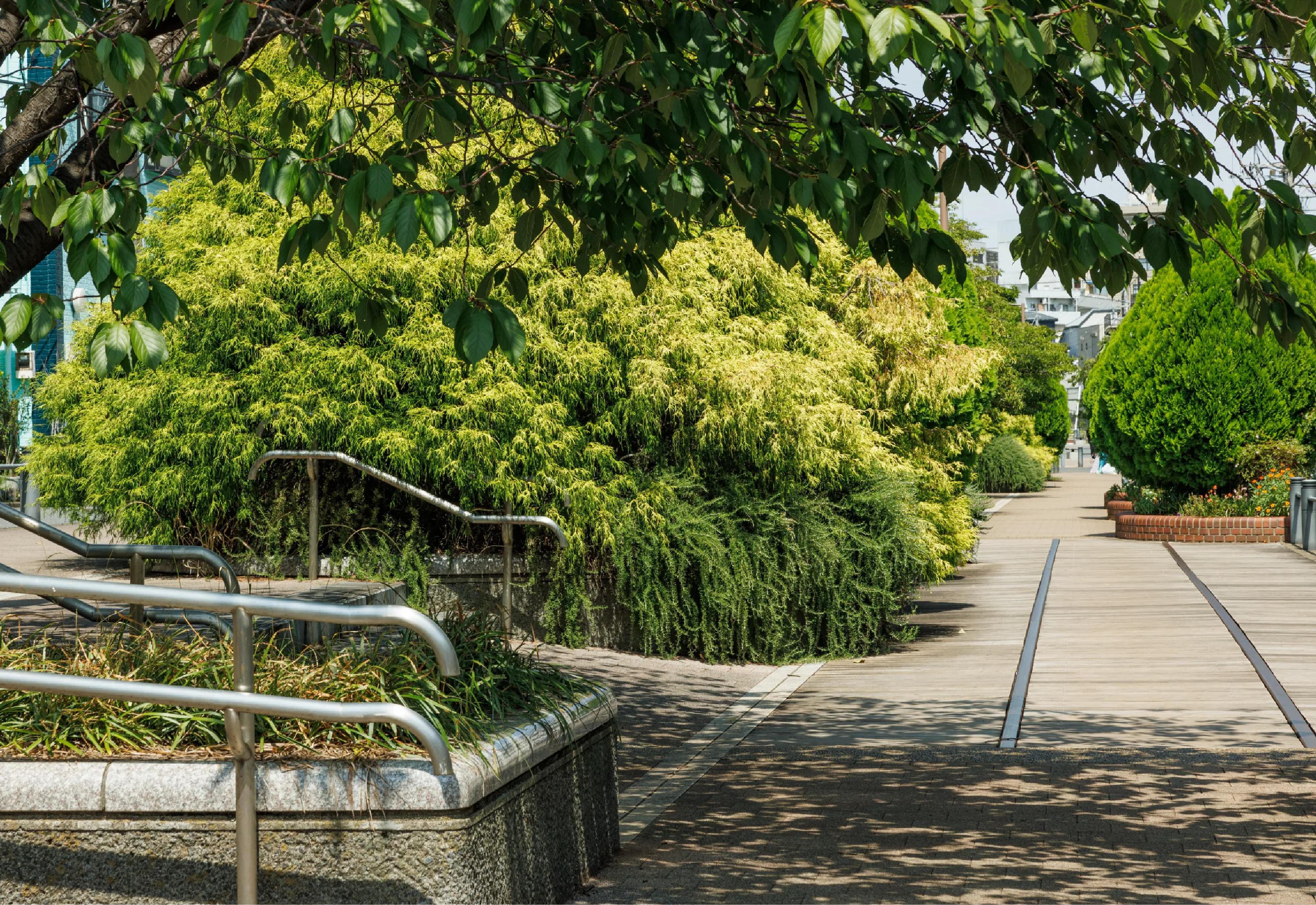 東横フラワー緑道