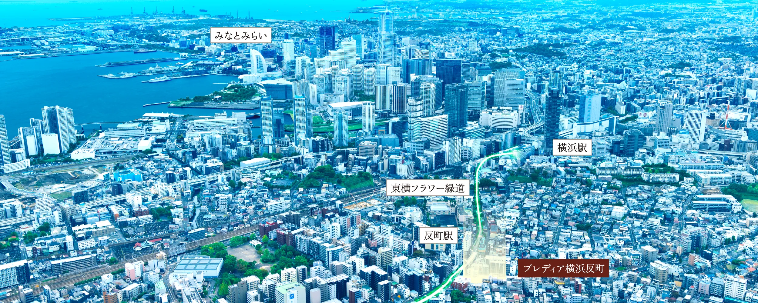 航空写真（2025年10月撮影）