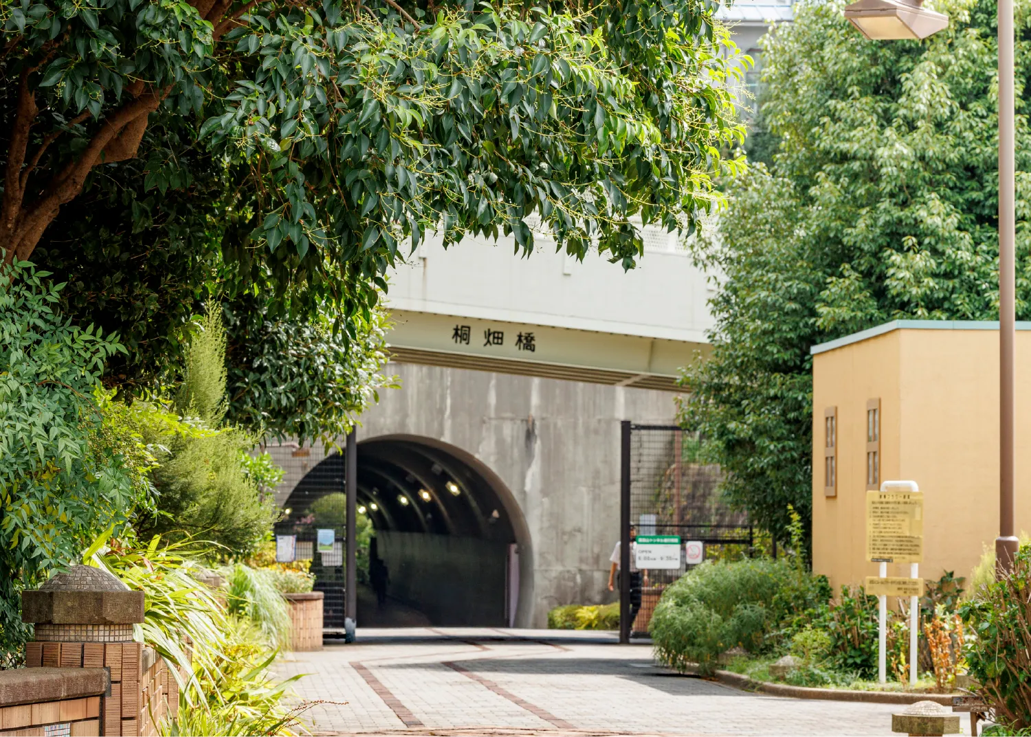 高島山トンネル