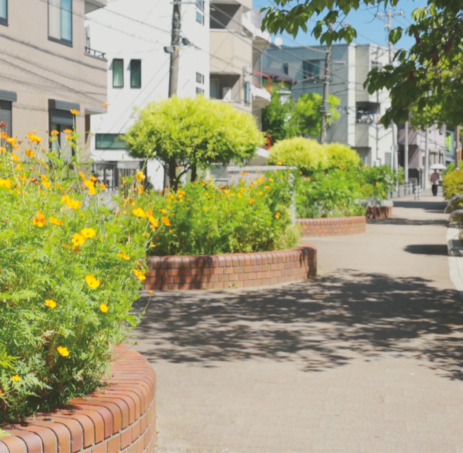 東横フラワー緑道（徒歩1分／約30m）